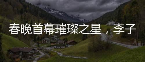 春晚首幕璀璨之星，李子柒成为首个女生镜头焦点