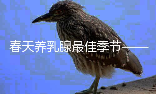 春天养乳腺最佳季节——关注女性健康的必经之路