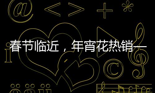 春节临近，年宵花热销——花卉市场的热闹与繁荣