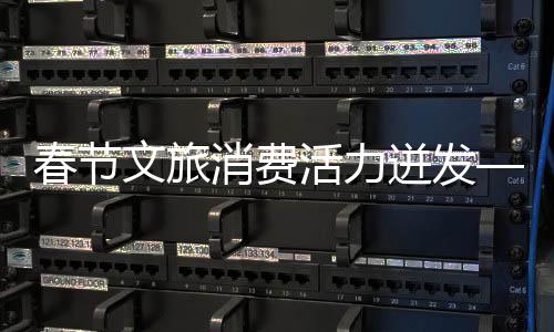 春节文旅消费活力迸发——节日盛宴激发文旅市场新活力