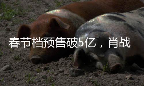 春节档预售破5亿，肖战新片引领票房风暴
