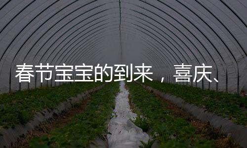 春节宝宝的到来，喜庆、希望与未来的美好序曲