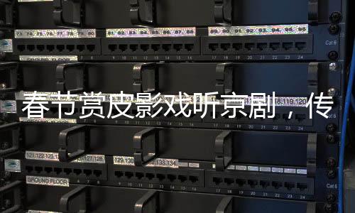 春节赏皮影戏听京剧，传统文化艺术的独特魅力