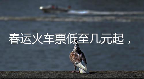 春运火车票低至几元起，春节回家更轻松——深度解析春运火车票优惠政策