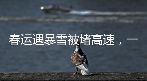 春运遇暴雪被堵高速，一场突如其来的挑战与应对之道