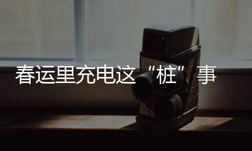 春运里充电这“桩”事 车主能及时快速充上电吗？