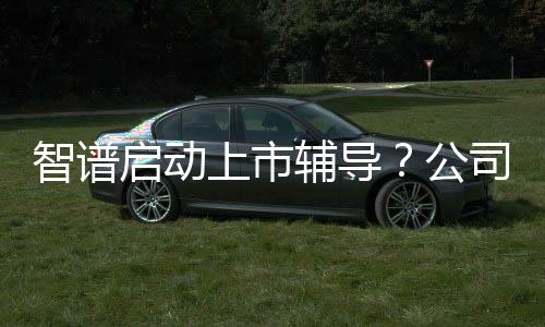 智谱启动上市辅导？公司回应：正式启动IPO流程
