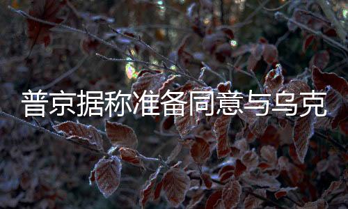 普京据称准备同意与乌克兰有条件地停战，俄乌冲突的缓和前景展望