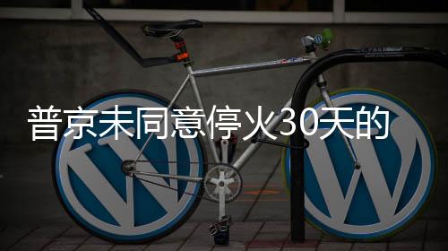 普京未同意停火30天的立场与未来展望