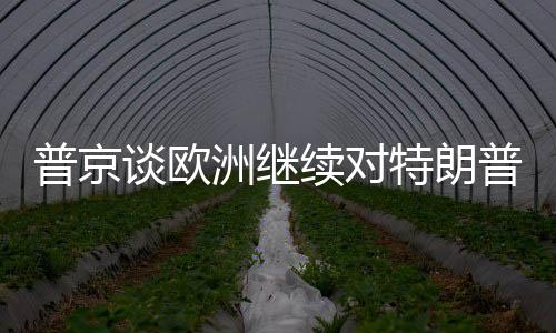 普京谈欧洲继续对特朗普摇尾巴，国际关系的新挑战与解析