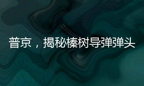 普京，揭秘榛树导弹弹头极度耐高温特性