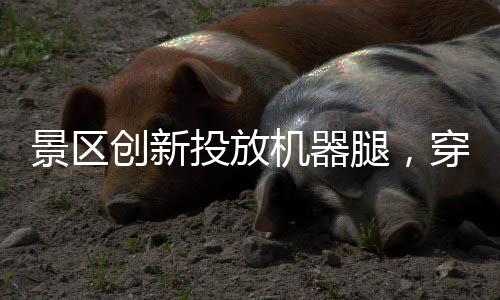 景区创新投放机器腿，穿戴体验空中飘舞新篇章