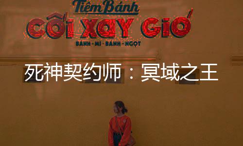 死神契约师：冥域之王