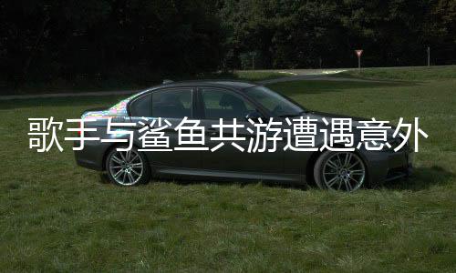 歌手与鲨鱼共游遭遇意外，一场惊心动魄的海洋冒险