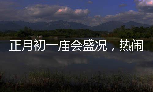正月初一庙会盛况，热闹非凡的庆祝活动
