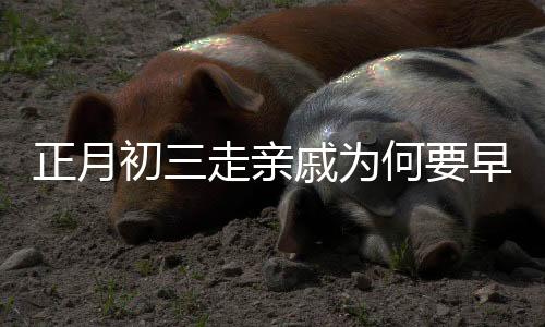 正月初三走亲戚为何要早点回家——一份来自中国传统文化习俗的解读