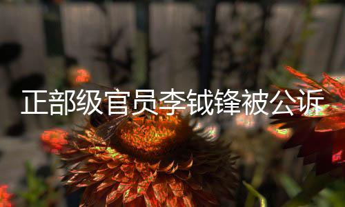 正部级官员李钺锋被公诉，引发社会关注