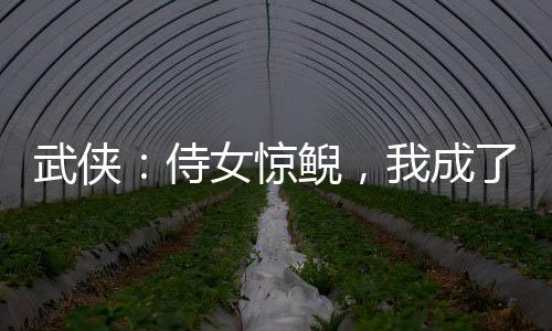 武侠：侍女惊鲵，我成了武林真仙