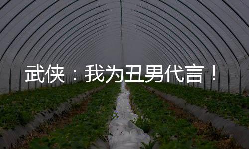 武侠：我为丑男代言！