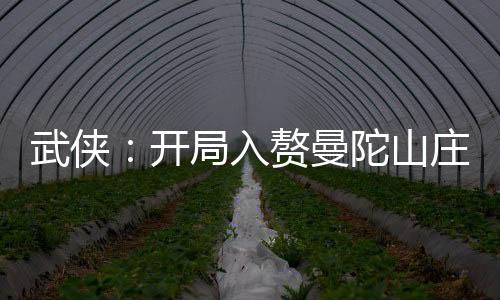 武侠：开局入赘曼陀山庄