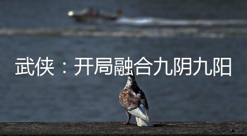 武侠：开局融合九阴九阳