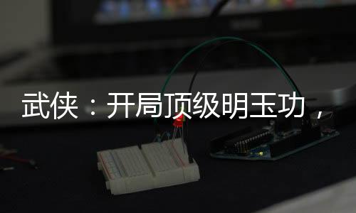 武侠：开局顶级明玉功，折江玉燕