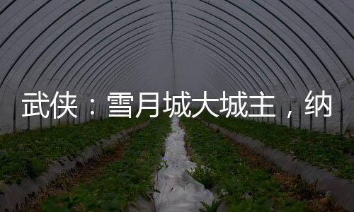 武侠：雪月城大城主，纳妾李寒衣