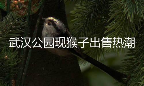 武汉公园现猴子出售热潮，最低售价惊爆三千元起！