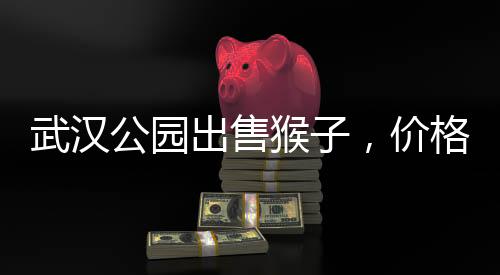 武汉公园出售猴子，价格起步3000元——引发关注和热议