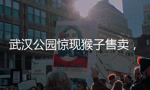武汉公园惊现猴子售卖，单价高达三千元起，引发社会关注