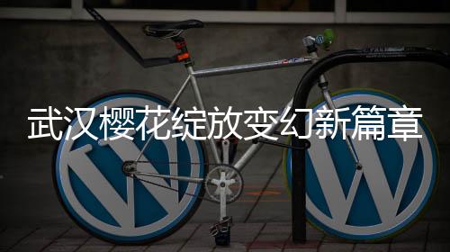 武汉樱花绽放变幻新篇章，樱花下的冰糖葫芦情怀