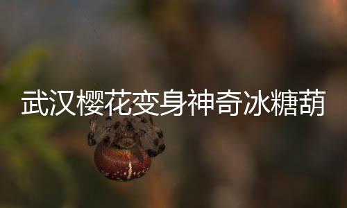 武汉樱花变身神奇冰糖葫芦，美丽文化交融呈现城市新面貌