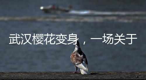 武汉樱花变身，一场关于冰糖葫芦的文化创意之旅