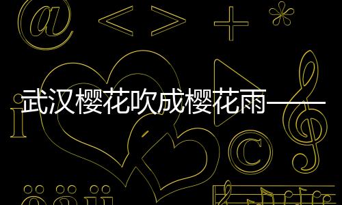 武汉樱花吹成樱花雨——绽放之城的美学奇迹