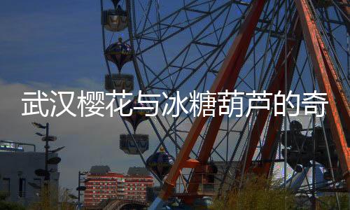 武汉樱花与冰糖葫芦的奇妙融合