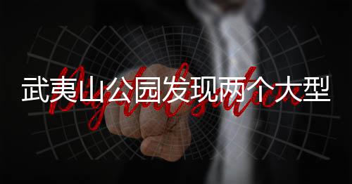 武夷山公园发现两个大型真菌新物种，揭示自然奥秘的新篇章
