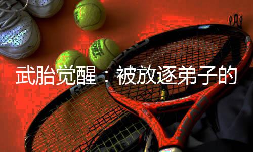 武胎觉醒：被放逐弟子的逆袭