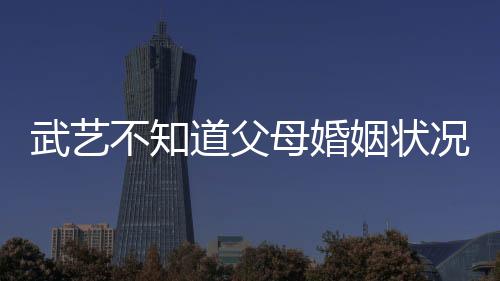 武艺不知道父母婚姻状况引发公众热议