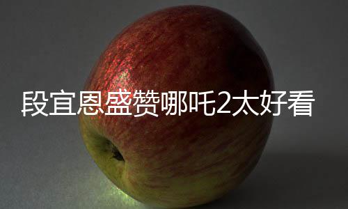段宜恩盛赞哪吒2太好看，新视窗引领动漫新潮流