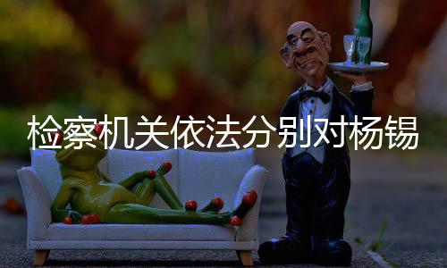 检察机关依法分别对杨锡祥、马志强、刘华、李黎明提起公诉