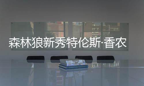森林狼新秀特伦斯·香农闪耀赛场，独得25分