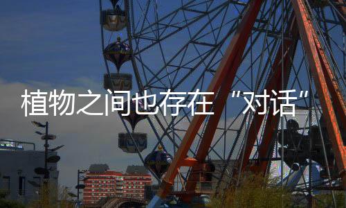 植物之间也存在“对话”交流？读懂植物的“聊天记录”