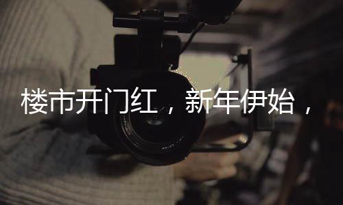 楼市开门红，新年伊始，20城新房成交量同比增长达33%，开启新篇章