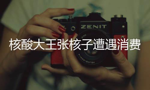 核酸大王张核子遭遇消费限制——揭示背后的故事与教训
