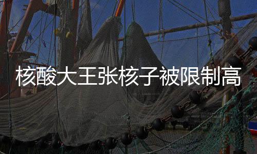 核酸大王张核子被限制高消费——关于企业家与个人责任的深度解读