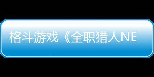 格斗游戏《全职猎人NEN×IMPACT》宣布7月17日发售 预购已开启