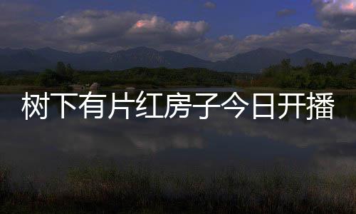 树下有片红房子今日开播，探索生活的真实与自然之美