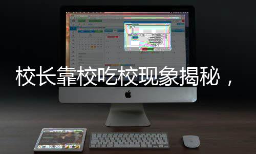 校长靠校吃校现象揭秘，家族经营食堂与工程项目引发关注