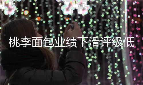 桃李面包业绩下滑评级低迷，行业挑战与未来发展展望