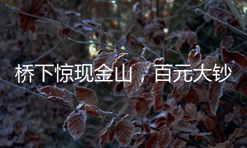 桥下惊现金山，百元大钞铺满地